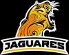 Jaguares 